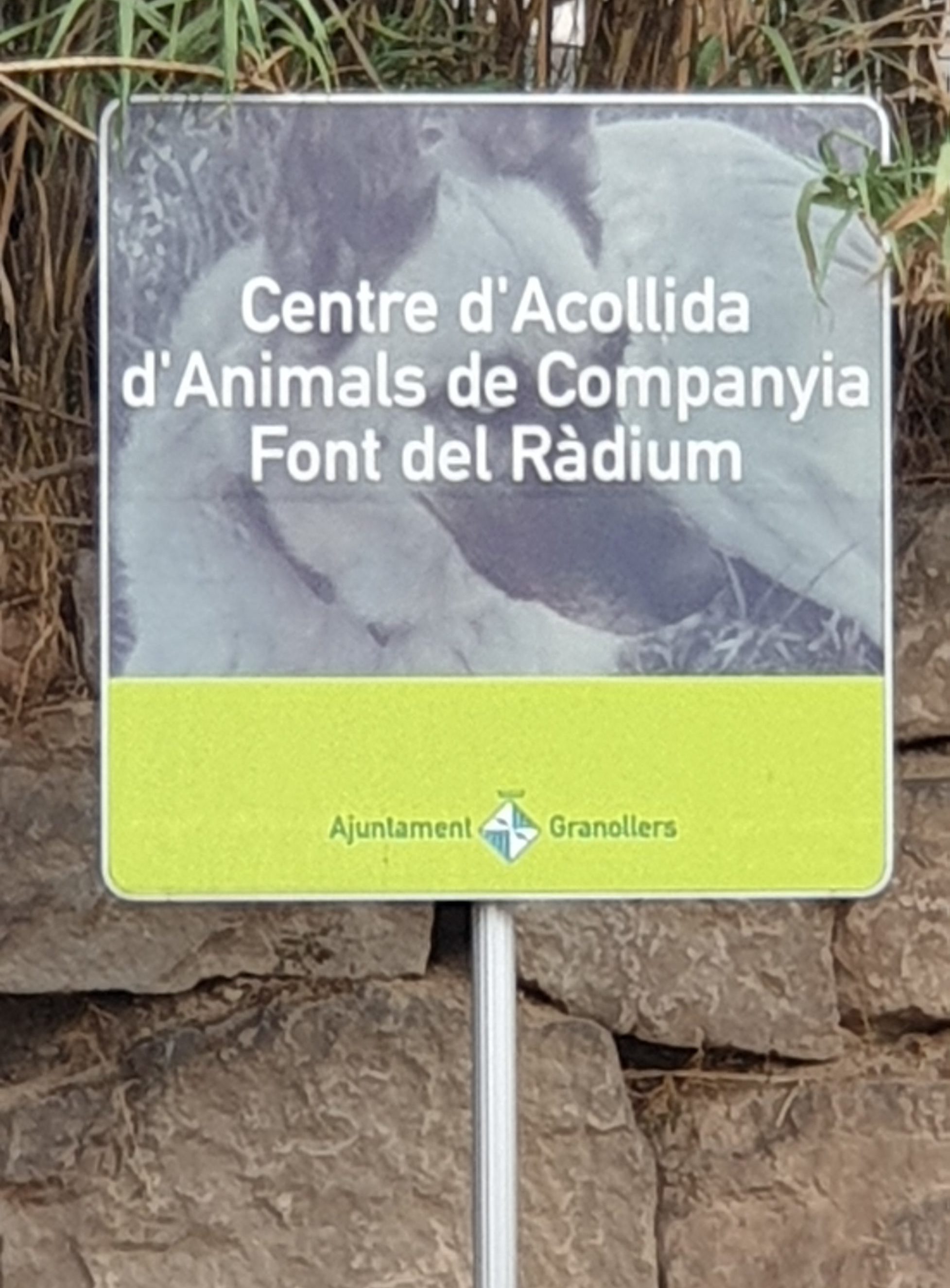 VISITAMOS EL CENTRO DE ACOGIDA DE ANIMALES DE COMPAÑÍA FONT DEL RÀDIUM